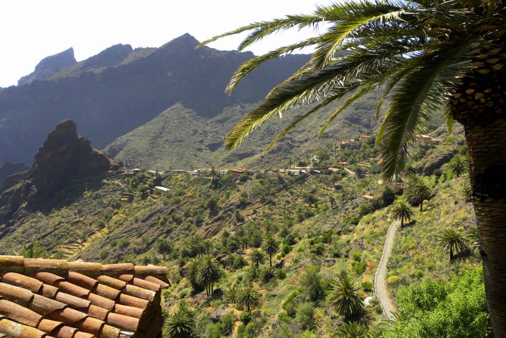 Tenerife 26april2013 030