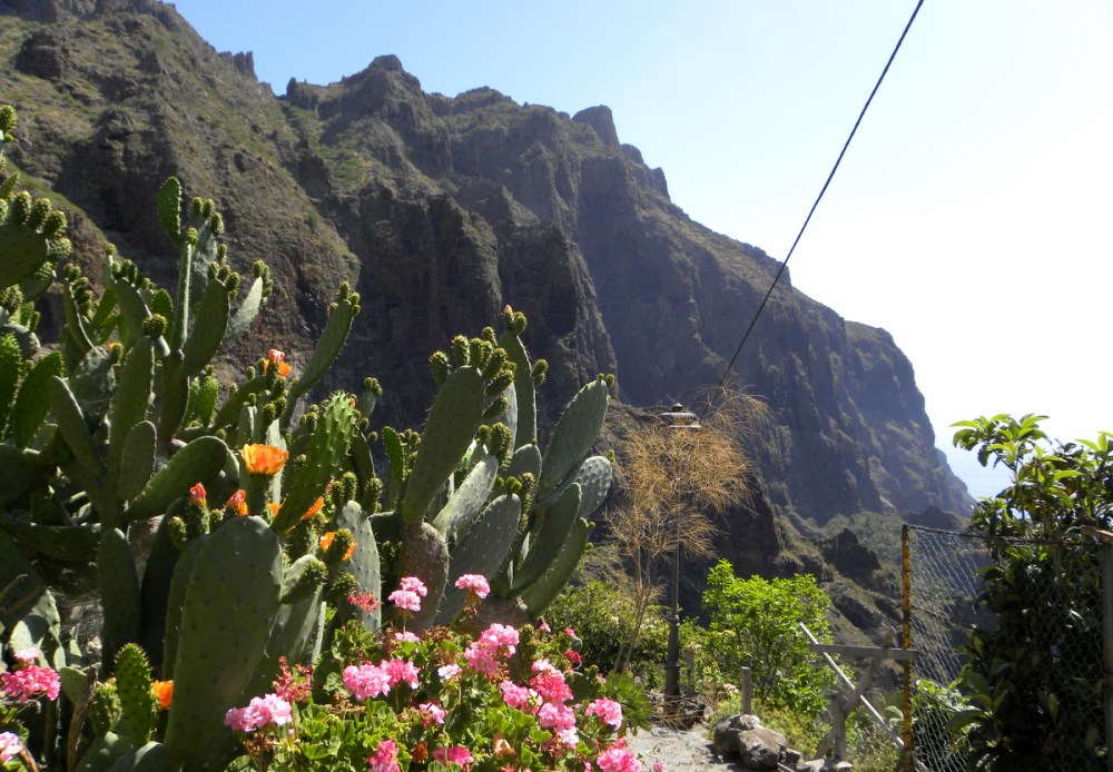 Tenerife 26april2013 034