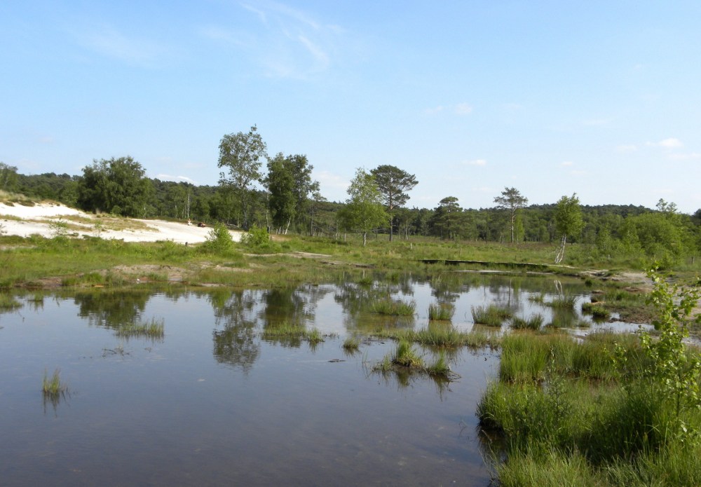 Juli.2013 Brunssumerheide 121