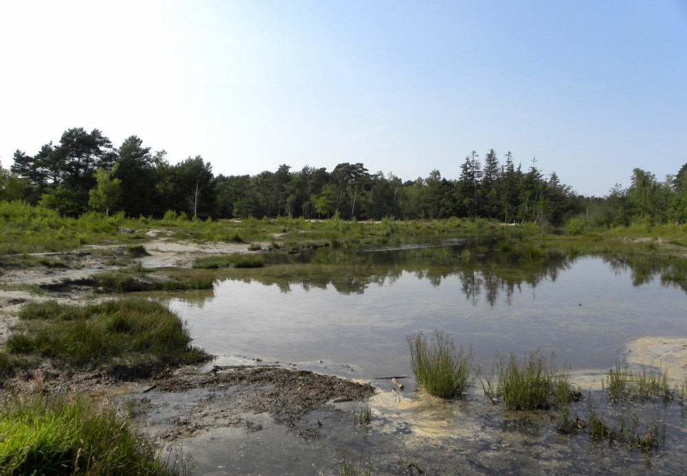 Juli.2013 Brunssumerheide 124