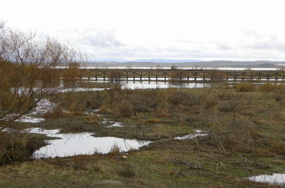 Andalusië.dag2.Jan.2014 049