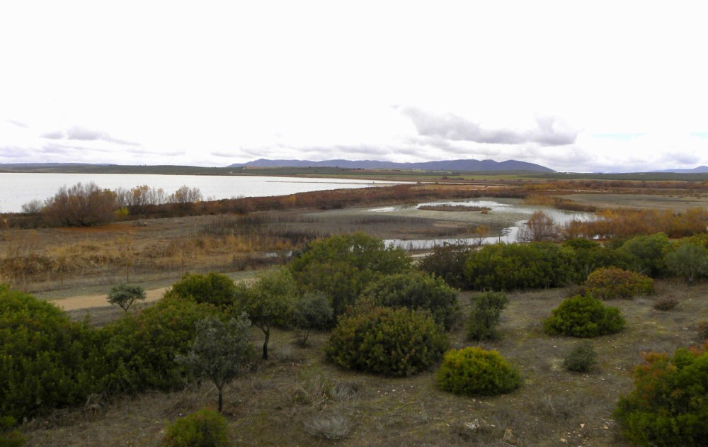 Andalusië.dag2.Jan.2014 073