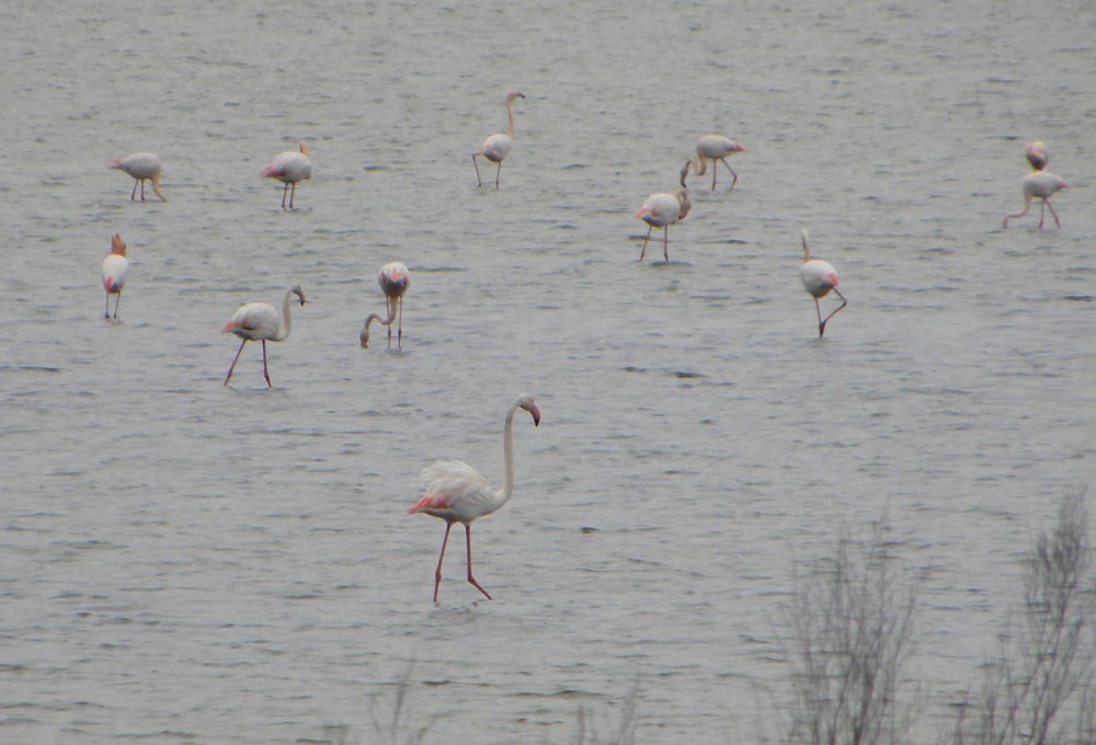 Andalusië.dag2.Jan.2014 077