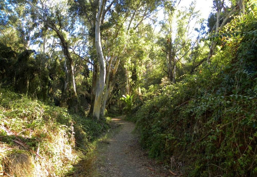 Andalusië.dag4.Jan.2014 029