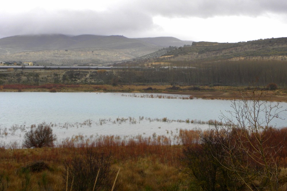 Andalusië.dag5.Jan.2014 036