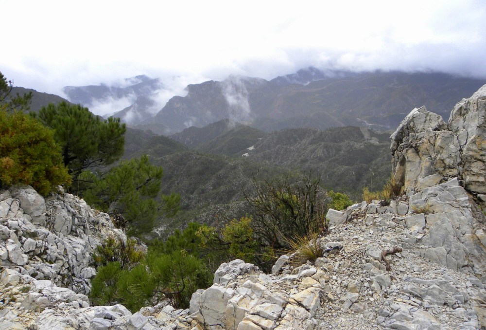 Andalusië.dag5.Jan.2014 042