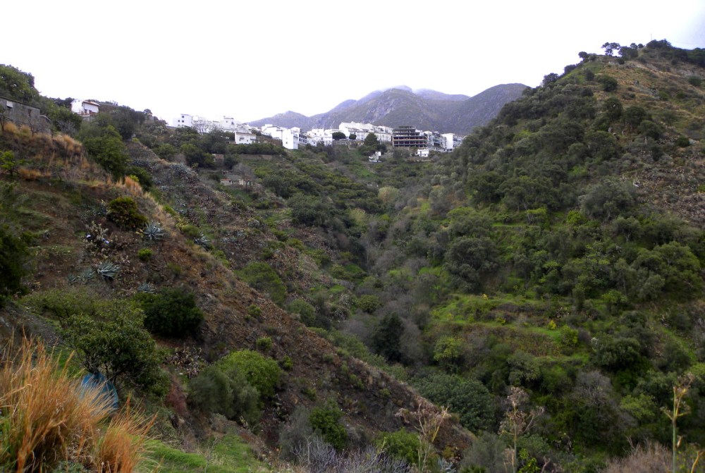 Andalusië.dag6en7.Jan.2014 005