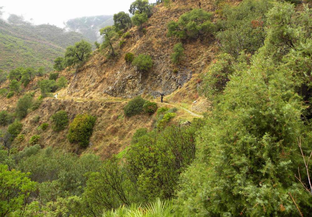 Andalusië.dag6en7.Jan.2014 012