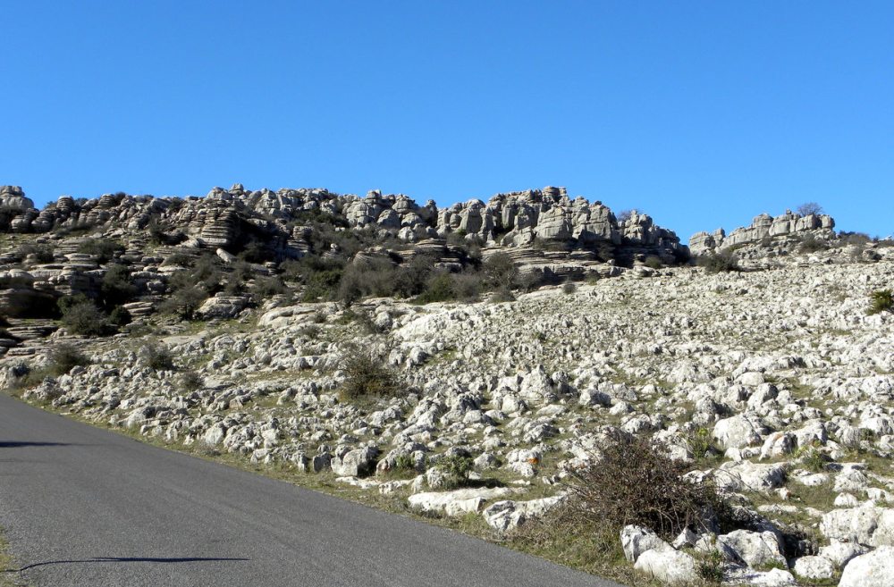 Andalusië.Jan.2014 039