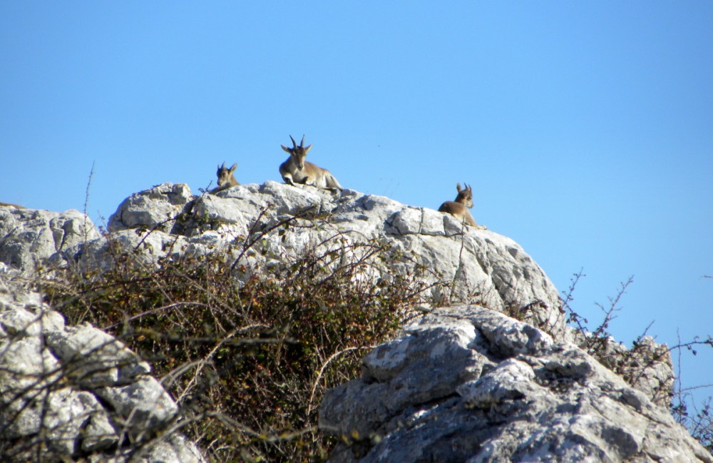 Andalusië.Jan.2014 059