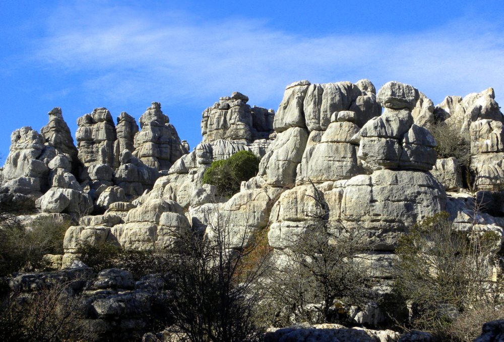 Andalusië.Jan.2014 096