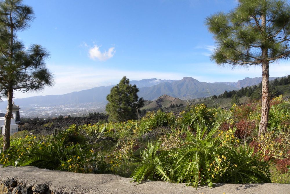 LaPalma, dag 1 en 2 025