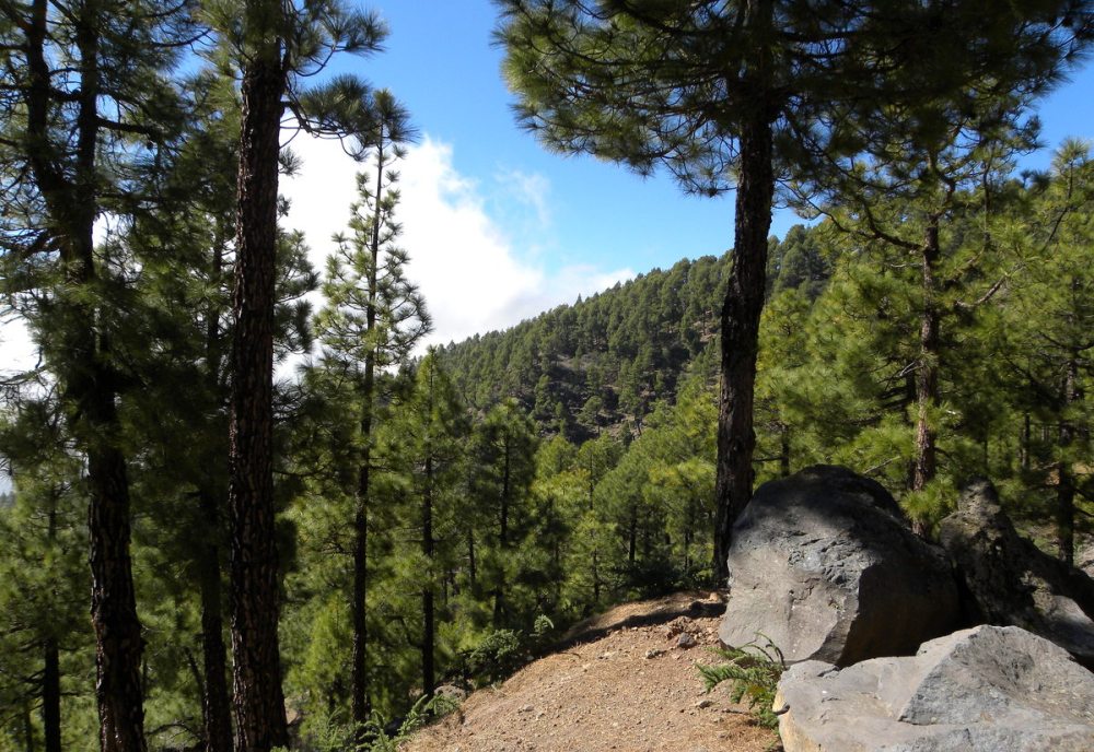 LaPalma, dag 1 en 2 054