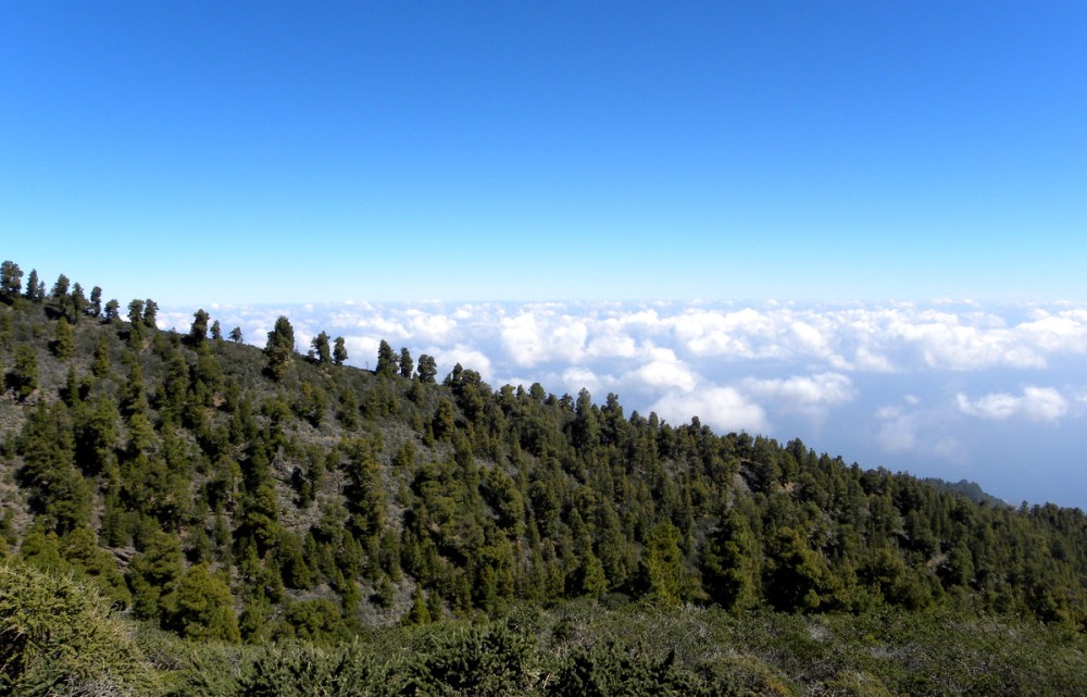 LaPalma, dag 1 en 2 062