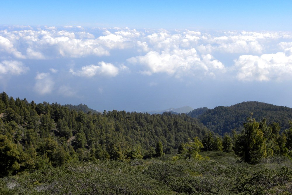 LaPalma, dag 1 en 2 064