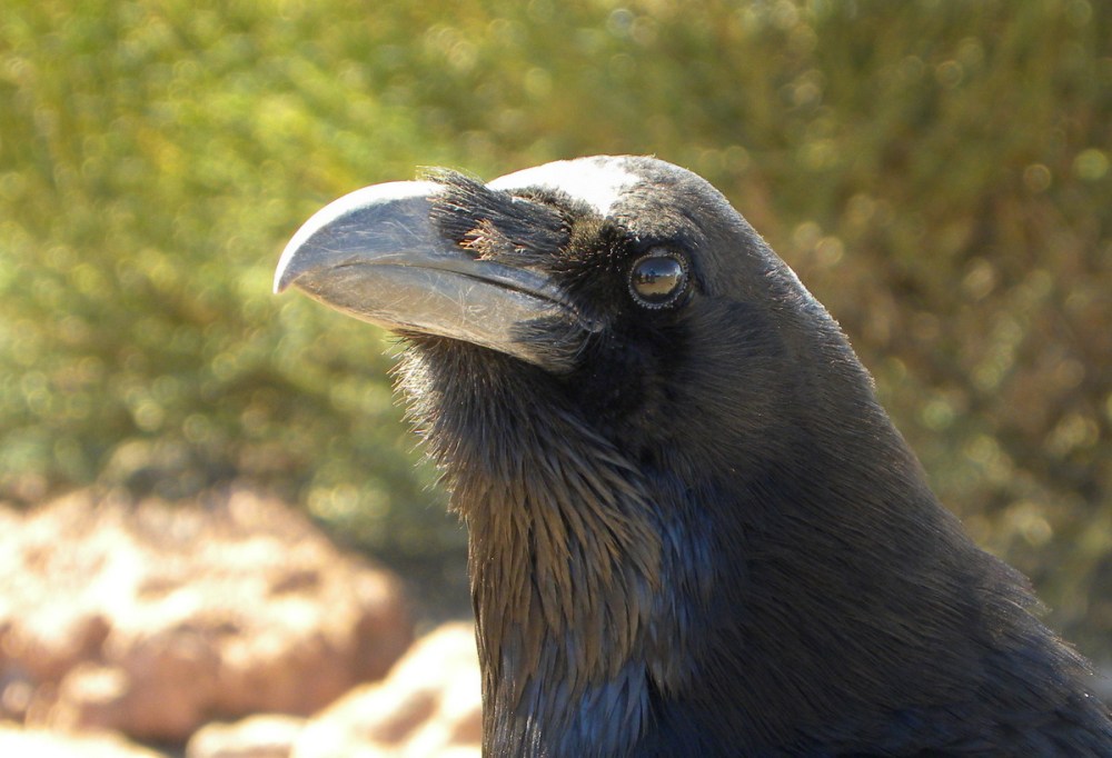 LaPalma, dag 1 en 2 135-001