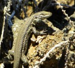 LaPalma, dag 1 en 2&nbsp;170