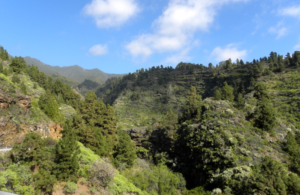 LaPalma, dag 1 en 2 193