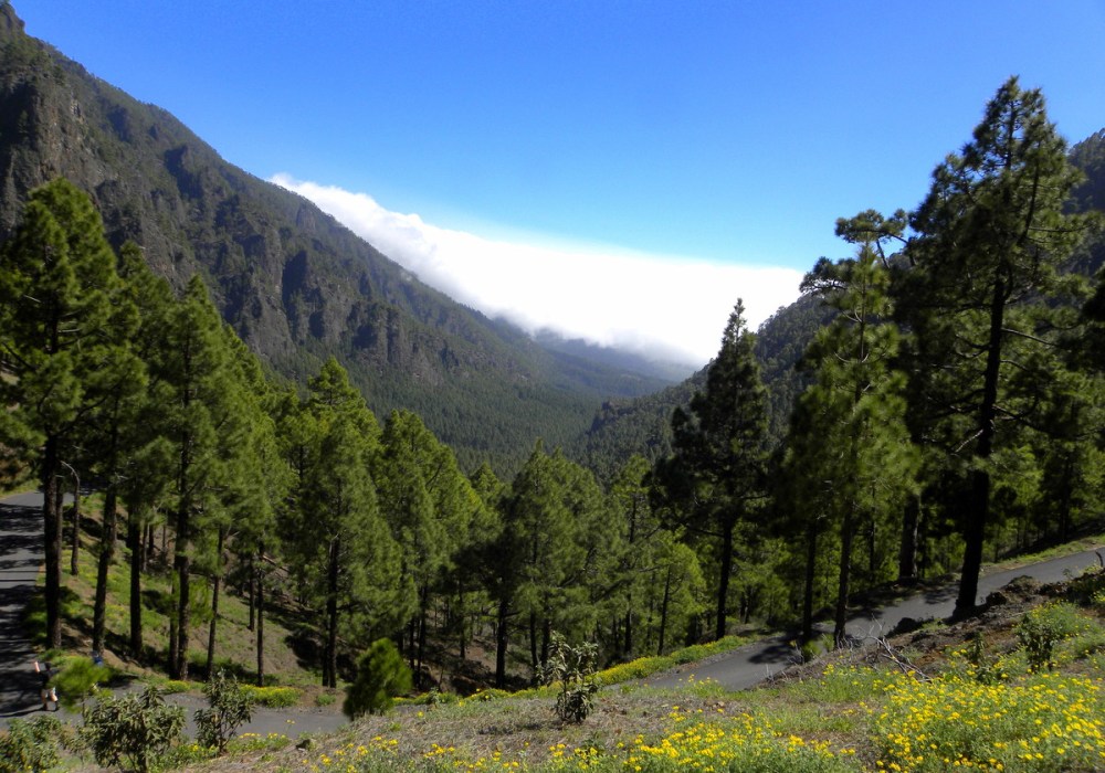 LaPalma, dag 5 105