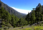 LaPalma, dag 5&nbsp;105
