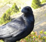 LaPalma, dag 6&nbsp;134