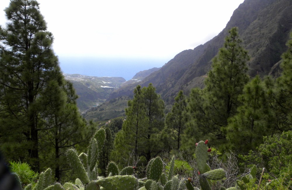LaPalma, dag 7 013