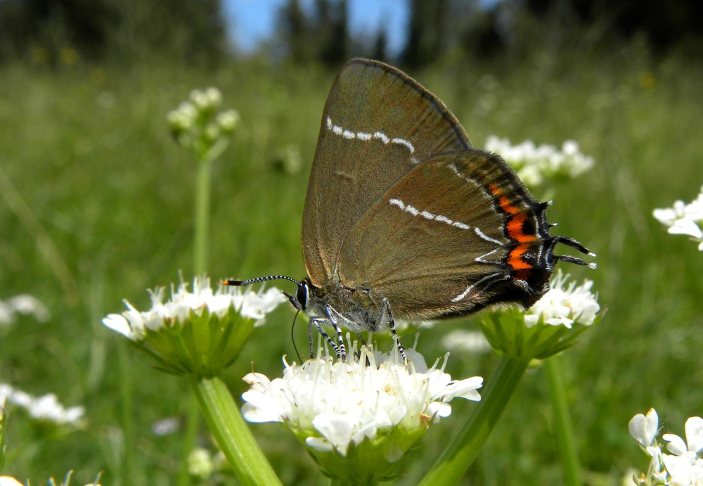 Corfu.dag 1 en 2 123