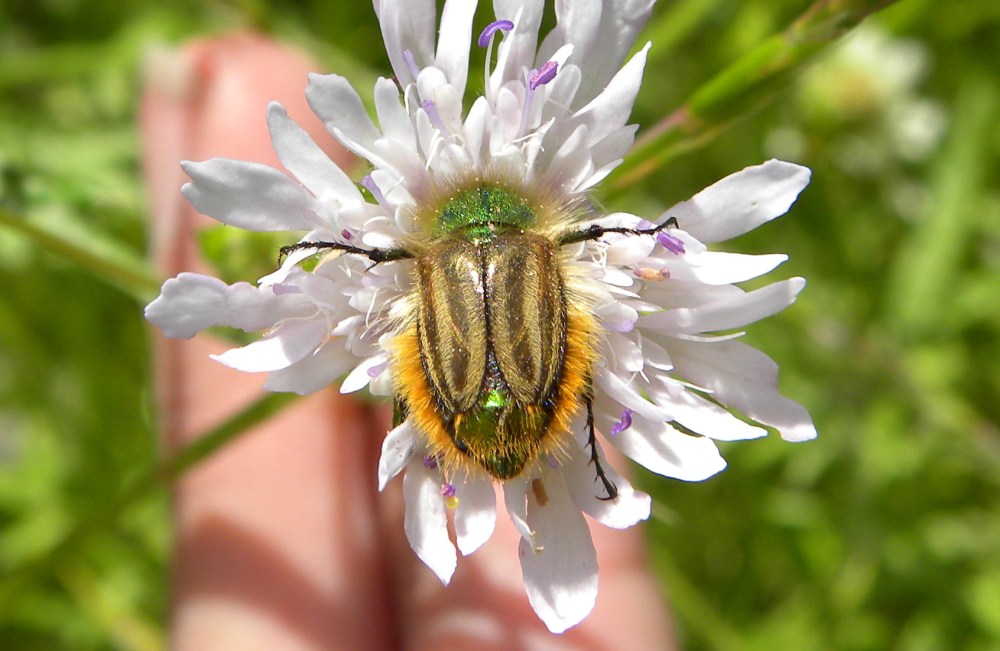 Corfu.dag 1 en 2 136