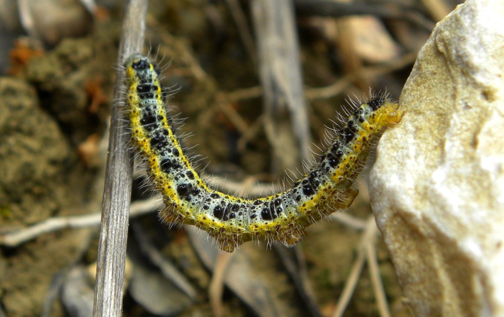 Corfu.dag 3 en 4 060