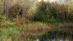 vennetje