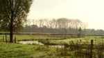Geleenbeek