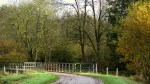 IJzeren bos