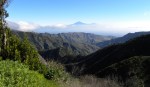 Teide torent boven wolken&nbsp;uit