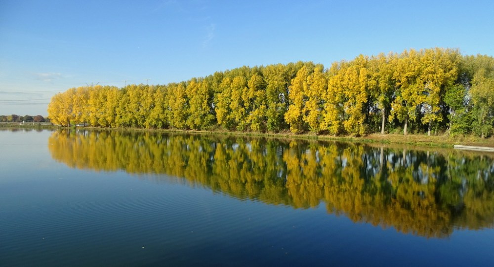 Bij de Stuwdam Linne