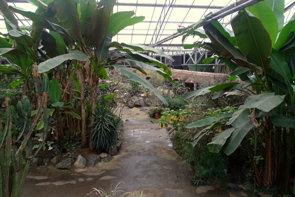 Tropenhal, Olmense zoo