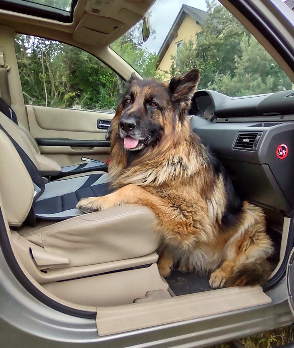 IMG_20220607_095540541_HDR